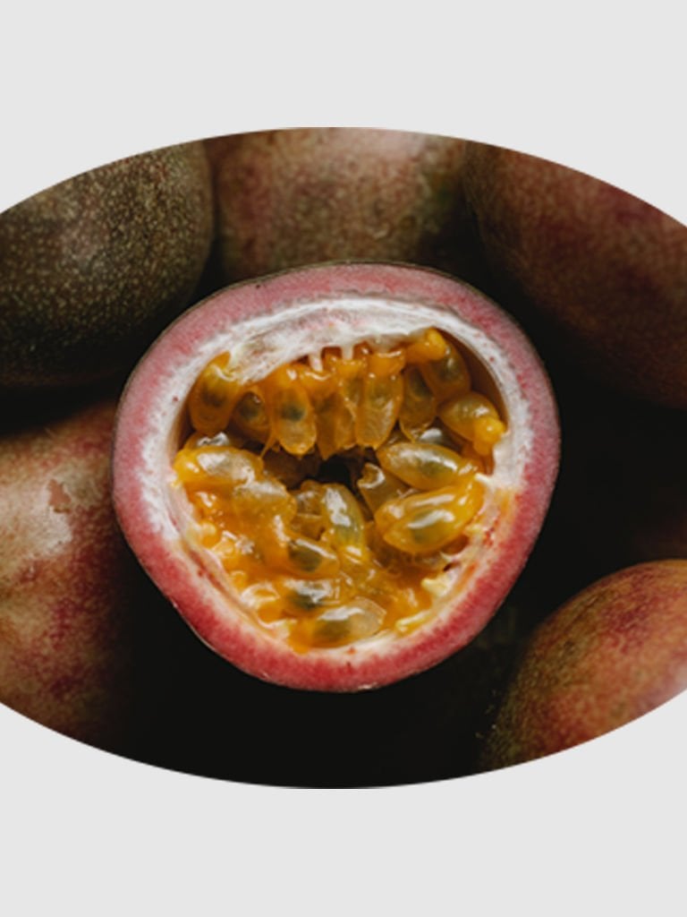 Passiflora Fidanı (Çarkıfelek)