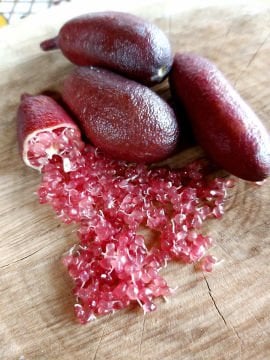 Kırmızı Havyar Limon  Fidanı (Red Champagne)