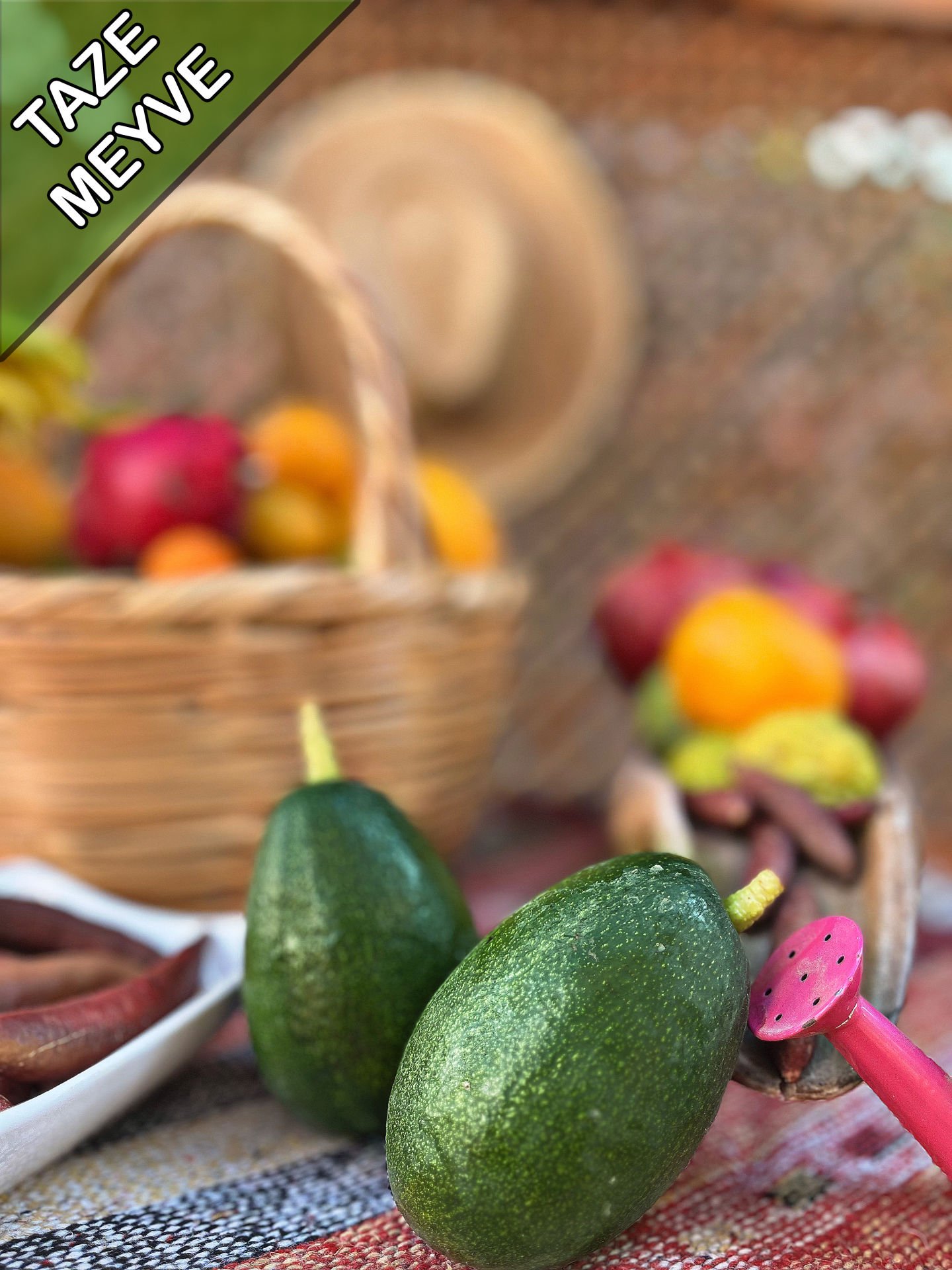 Avokado Meyvesi (Bacon) 10 Adet